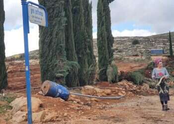 צו שימוש מפריע מאוד: מה הסיפור מאחורי כרם שילה