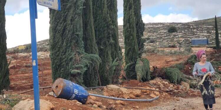 צו שימוש מפריע מאוד: מה הסיפור מאחורי כרם שילה