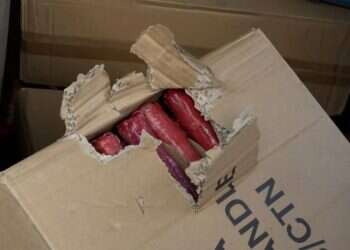 ירושלים: המשטרה עיכבה לחקירה מפגין שברכבו נמצאו מאות לפידים