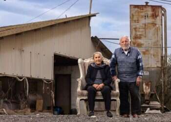 "המון גופות זו על זו. מעט ערבים, הרבה מאוד יהודים"