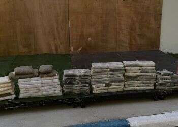 צפו: צה"ל סיכל הברחת סמים בשווי 50 מיליון ש"ח בגבול מצרים