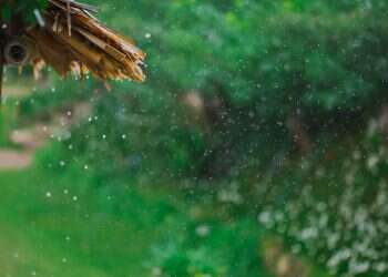 טיפטוף טפטוף גשם קל