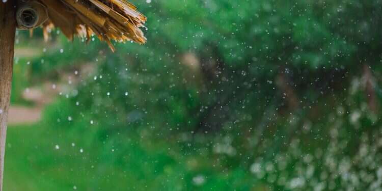 טיפטוף טפטוף גשם קל