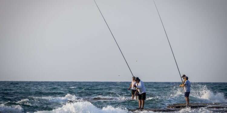 גל חום באמצע החורף – הטמפרטורות ימשיכו לעלות: תחזית מזג האוויר