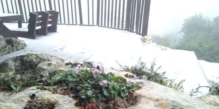 כפר עציון הבוקר. צילום: אמיתי דוקוב הרי גוש עציון נצבעו לבן, הנחלים ביו"ש זורמים בעוצמה: צפו בתיעוד