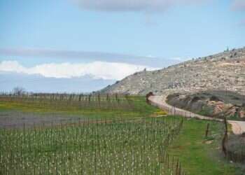 כדי שהקואליציה תשרוד נתניהו צריך לכבד את ההסכם הקואליציוני עם סמוטריץ'