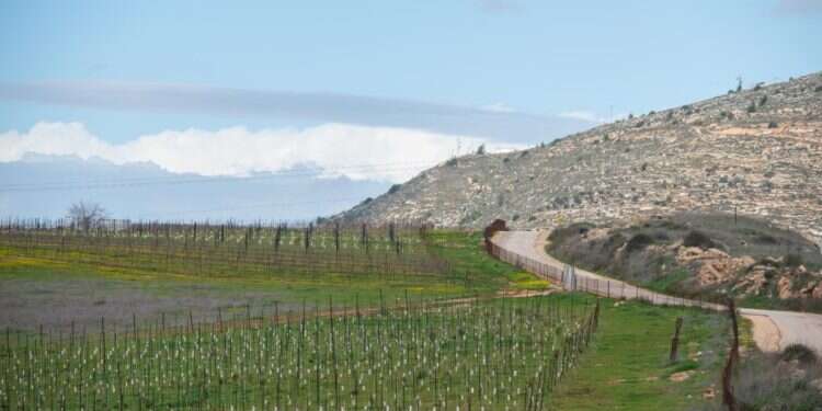 כדי שהקואליציה תשרוד נתניהו צריך לכבד את ההסכם הקואליציוני עם סמוטריץ'