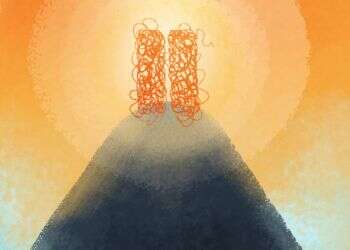 איור: נעמה להב