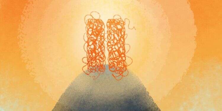 איור: נעמה להב איור: נעמה להב