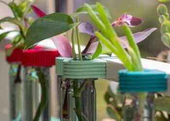 ט"ו בשבט הגיע, זמן למתנות: 9 מוצרים מפנקים שעושים כבוד לטבע