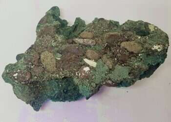 לשימוש רק בכתבה הספציפית