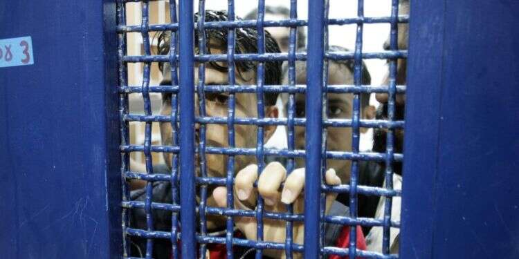 צילום: איי.אף.פי