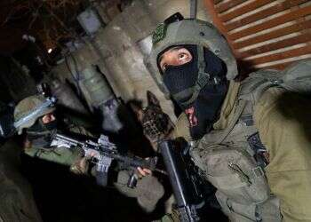 כוחות צה למרות ירי והפרות סדר, כוחות הביטחון עצרו מבוקשים והחרימו נשקים במהלך פעילות ביו"ש