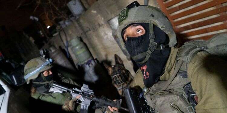 כוחות צה למרות ירי והפרות סדר, כוחות הביטחון עצרו מבוקשים והחרימו נשקים במהלך פעילות ביו"ש