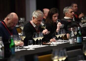 באיזו טמפרטורה כדאי לשמור יין ואיפה כדאי לאחסן? כל הטיפים