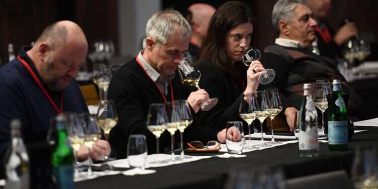 באיזו טמפרטורה כדאי לשמור יין ואיפה כדאי לאחסן? כל הטיפים