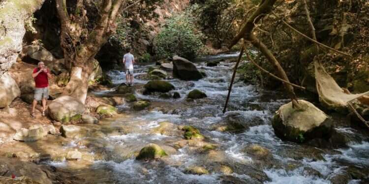 מטיילים בנחל הבניאס. צילום: מיכאל גלעדי/פלאש90 מגמת טמפרטורה בעלייה וטפטופים אפשריים: תחזית מזג האוויר