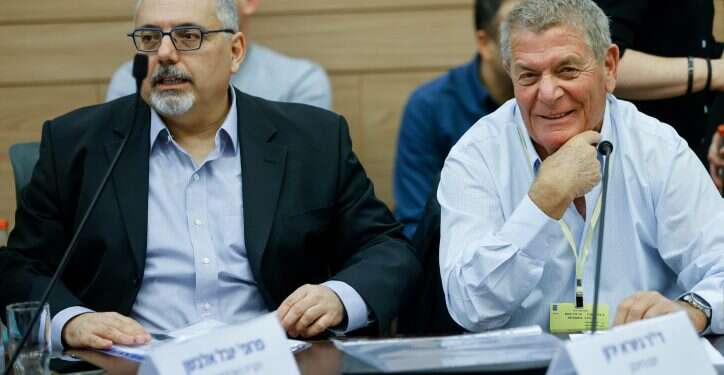 גיורא ירון ויובל אלבשן בישיבת ועדת החוקה. צילום: אריק מרמור, פלאש 90 מה כוללת יוזמת פרידמן-אלבשן ומה תפיסת העולם העומדת מאחוריה?