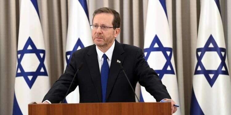 הנשיא הרצוג. צילום: חיים צח - לע"מ