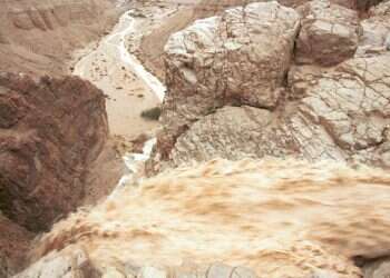 תוך סיכון חייהם: פקחים ומחלצים חילצו אדם שנסחף בשיטפון | תיעוד