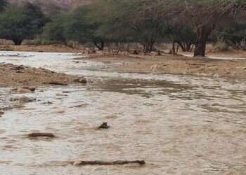 סוער וגשום, סופות רעמים ושיטפונות, שלג בחרמון: תחזית מזג האוויר