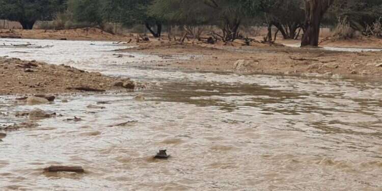 חי בר יוטבתה לאחר הגשם. צילום: זיו וידן, רשות הטבע והגנים סוער וגשום, סופות רעמים ושיטפונות, שלג בחרמון: תחזית מזג האוויר