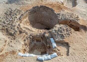 לא רק ארמונות: העדות העתיקה ביותר לחקלאות בחול נמצאה בקיסריה