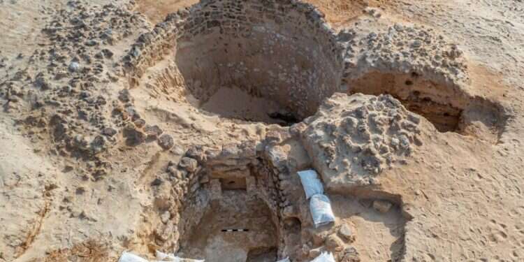 ממצאי החפירות בחולות קיסריה. צילום: אלכס ביגמן רשות העתיקות לא רק ארמונות: העדות העתיקה ביותר לחקלאות בחול נמצאה בקיסריה