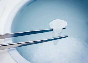 צילום: שאטרסטוק "כשהגעתי לגיל ולשלב של שימור פוריות גיליתי שאני לבד, שאני צריכה להסתיר ולהתבייש"