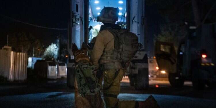 פעילות כוחות צה כוחות הביטחון עצרו שמונה מבוקשים ביהודה ושומרון