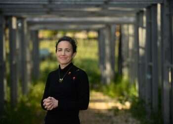 אקדח במערכה הראשונה