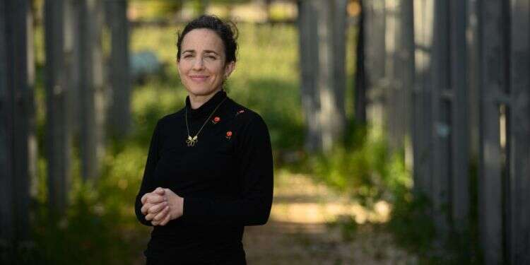 ד אקדח במערכה הראשונה