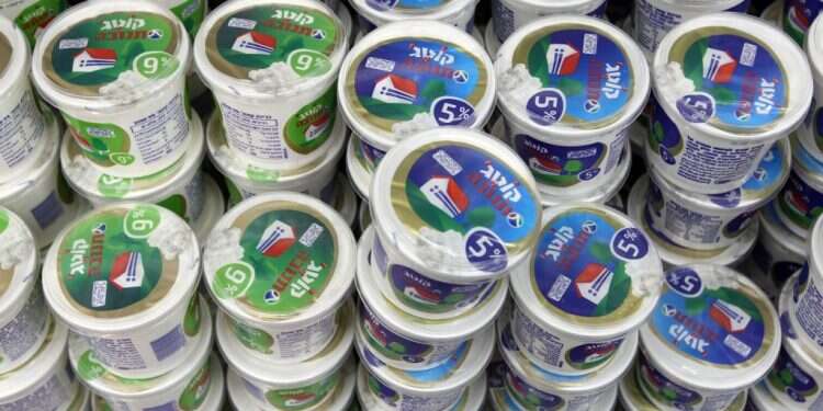 קוטג' תנובה. צילום: נתי שוחט - פלאש 90 "מלאך משחית": סדרת אימה שלא במקרה מתרחשת בעולם החרדי