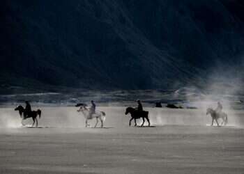 פרשים סוסים אבק מדבר