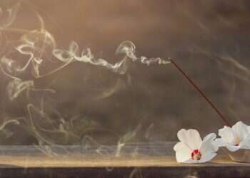 איך קראו לבושם של איילת שקד ועוד תשע שאלות: הטריוויה השבועית