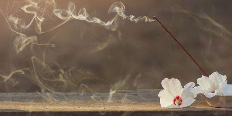 צילום: שאטרסטוק איך קראו לבושם של איילת שקד ועוד תשע שאלות: הטריוויה השבועית