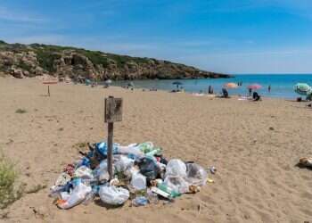 צילום: שאטרסטוק