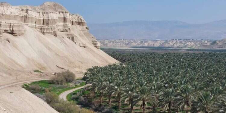 כנר על הגג ועכו העתיקה: הפעילויות והחוויות המומלצות לחול המועד