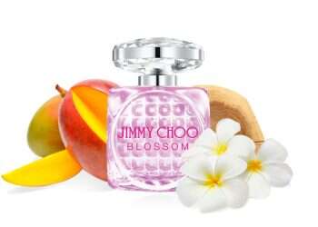 להתחדש ולהתרענן: בשמים מומלצים לאביב