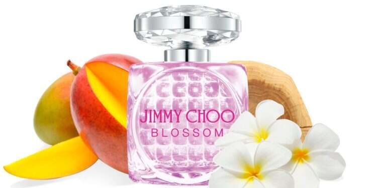 להתחדש ולהתרענן: בשמים מומלצים לאביב