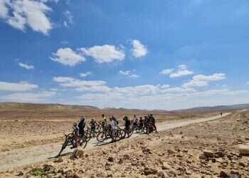 כנר על הגג ועכו העתיקה: הפעילויות והחוויות המומלצות לחול המועד