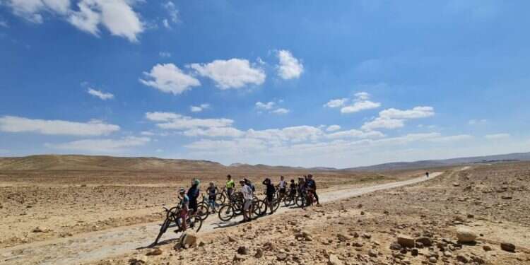 כל גלגל. צילום: שקד פבלינסקי כנר על הגג ועכו העתיקה: הפעילויות והחוויות המומלצות לחול המועד