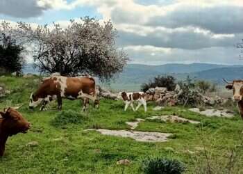 לטייל במקום שאף אחד לא מכיר? זה אפשרי