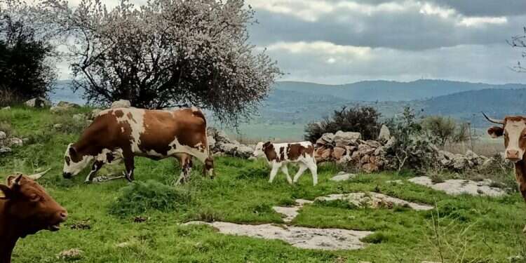 לטייל במקום שאף אחד לא מכיר? זה אפשרי