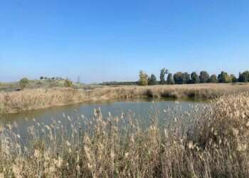 לטייל במקום שאף אחד לא מכיר? זה אפשרי