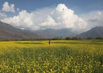 קיץ אביב פריחה פרחים עננים חבל קשמיר