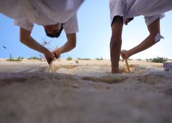 מנקים את אבני הכותל, ערב פסח תשפ ראשי