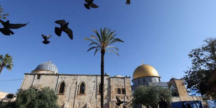 הר הבית. צילום: EPA הדיון על מקום המקדש: המסורת צודקת ולא המחקר החדש