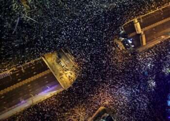 הכוח לבחור איזה עץ לשמוע נמצא בידיים של כל אחד