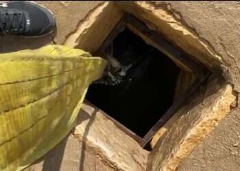 צפו: עוף דורס חולץ מבור מים לאחר שהתמלא במי גשמים